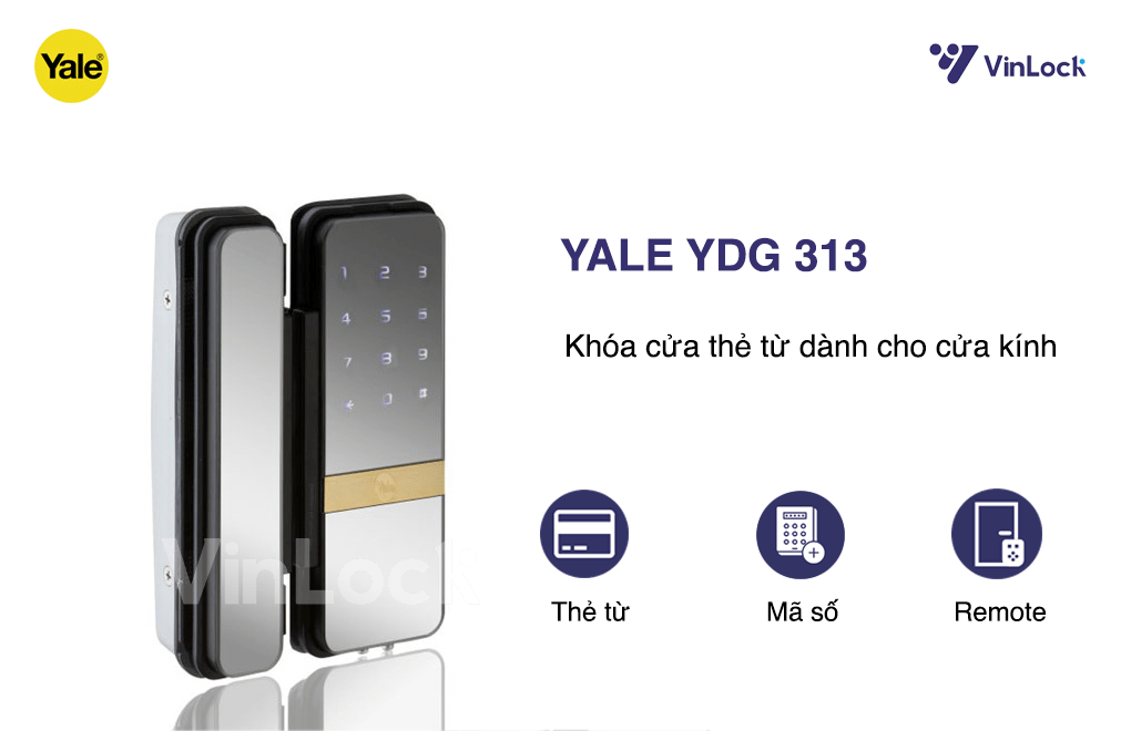 yale-313